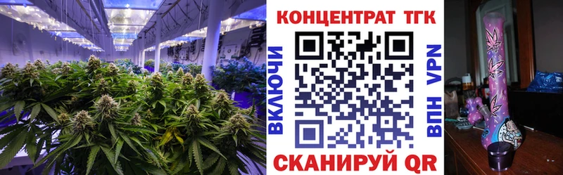 ТГК Wax  Мурманск 