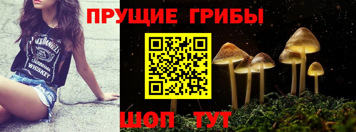 Галлюциногенные грибы Psilocybe  Вход с VPN  Мурманск 